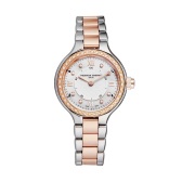 Frederique Constant 康斯登 双色女士气质腕表 FC-281WHD3ERD2B