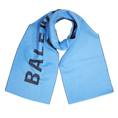 蓝色 logo 围巾